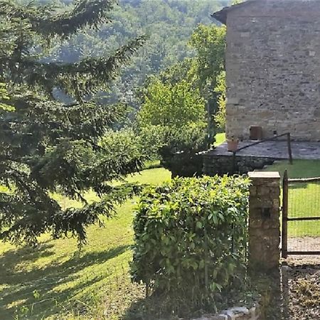 פרטוווקיו Casa Titina Riposo E Relax Nella Campagna Toscana מראה חיצוני תמונה