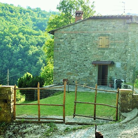 פרטוווקיו Casa Titina Riposo E Relax Nella Campagna Toscana מראה חיצוני תמונה