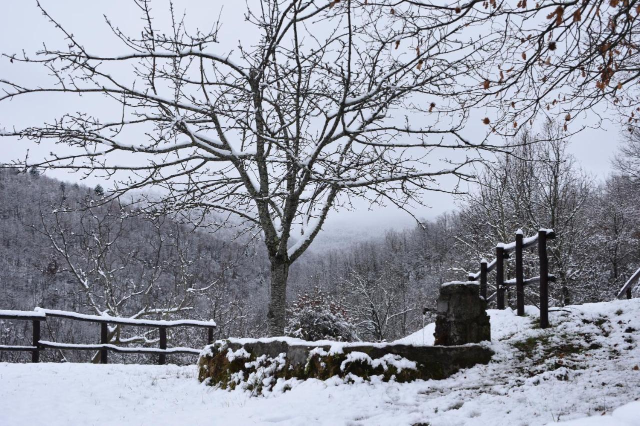 פרטוווקיו Casa Titina Riposo E Relax Nella Campagna Toscana מראה חיצוני תמונה