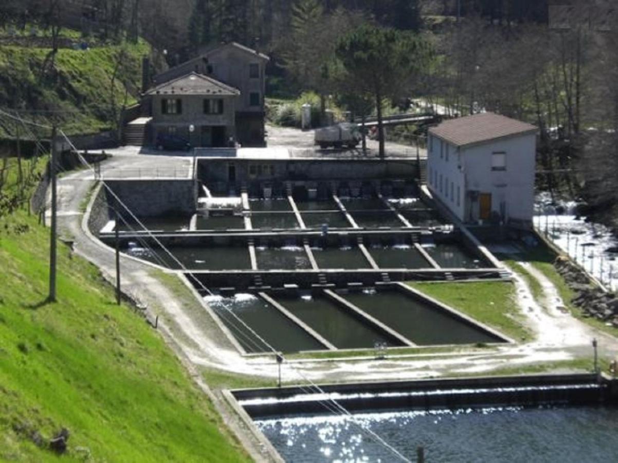 פרטוווקיו Casa Titina Riposo E Relax Nella Campagna Toscana מראה חיצוני תמונה