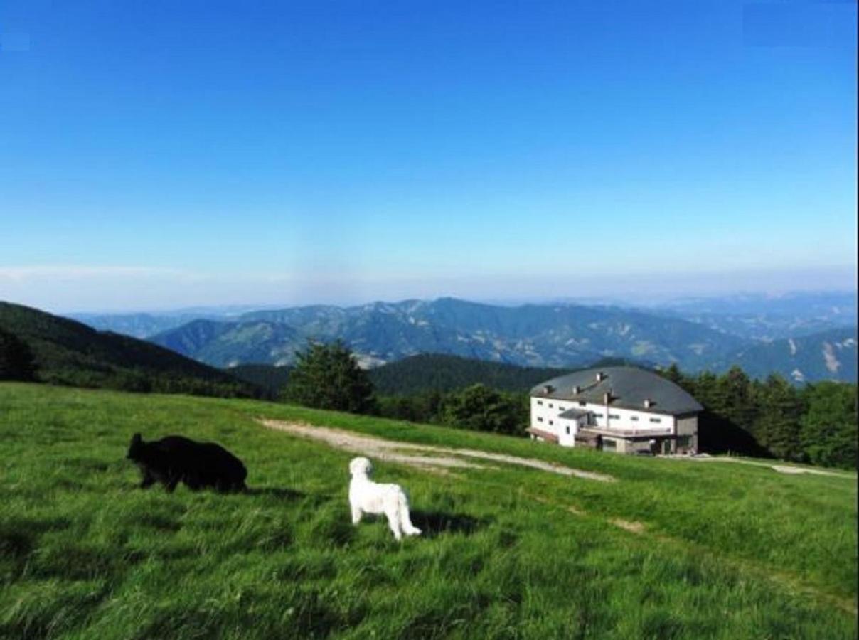 פרטוווקיו Casa Titina Riposo E Relax Nella Campagna Toscana מראה חיצוני תמונה