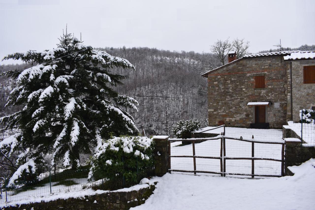 פרטוווקיו Casa Titina Riposo E Relax Nella Campagna Toscana מראה חיצוני תמונה