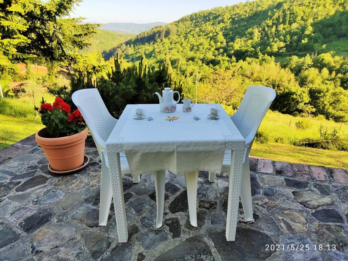 פרטוווקיו Casa Titina Riposo E Relax Nella Campagna Toscana מראה חיצוני תמונה
