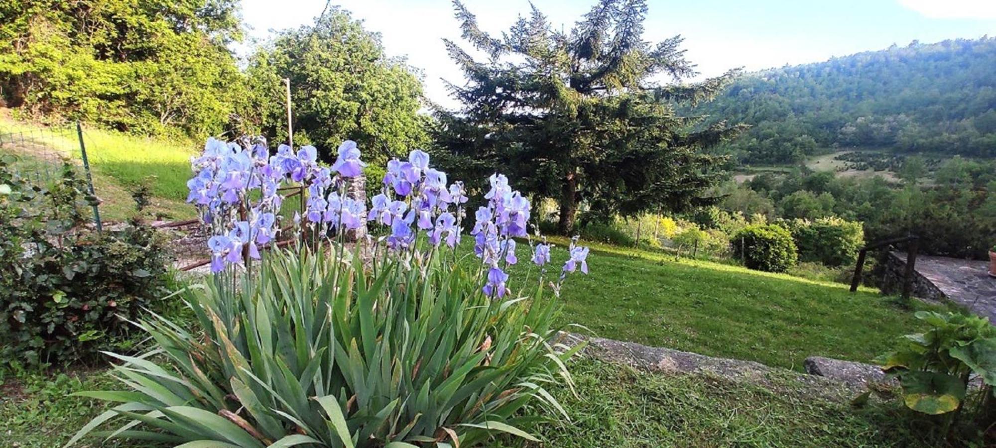 פרטוווקיו Casa Titina Riposo E Relax Nella Campagna Toscana מראה חיצוני תמונה